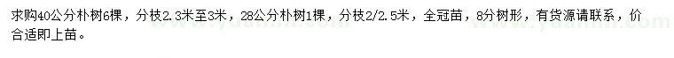 求購28、40公分樸樹