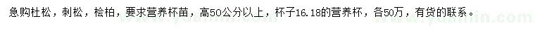 求購杜松、刺松、檜柏