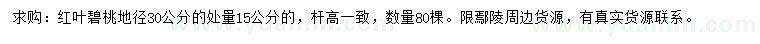 求購30公分量15公分紅葉碧桃