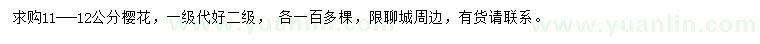 求購11-12公分櫻花
