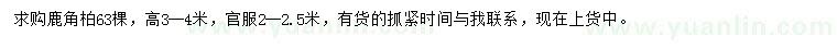 求購冠幅2-2.5米鹿角柏