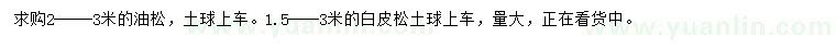 求購(gòu)2-3油松、1.5-3米白皮松