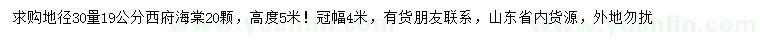 求購(gòu)30量19公分西府海棠
