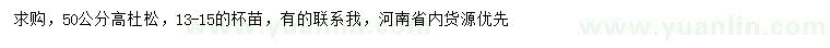 求購(gòu)高50公分杜松
