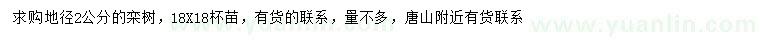 求購(gòu)地徑2公分欒樹