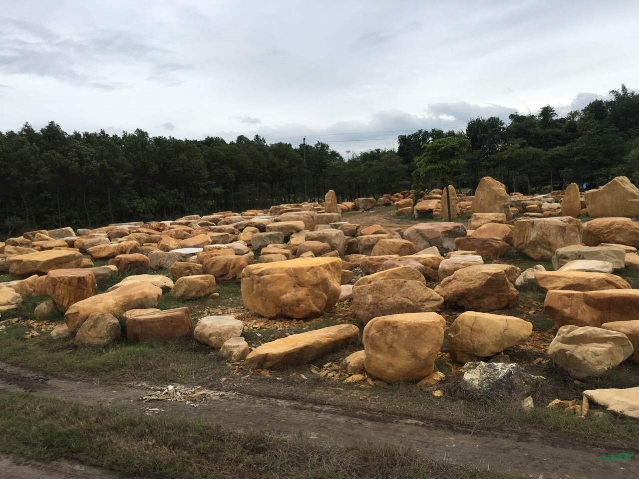 精品黃蠟石臺面石 假山跌水 園林景觀石