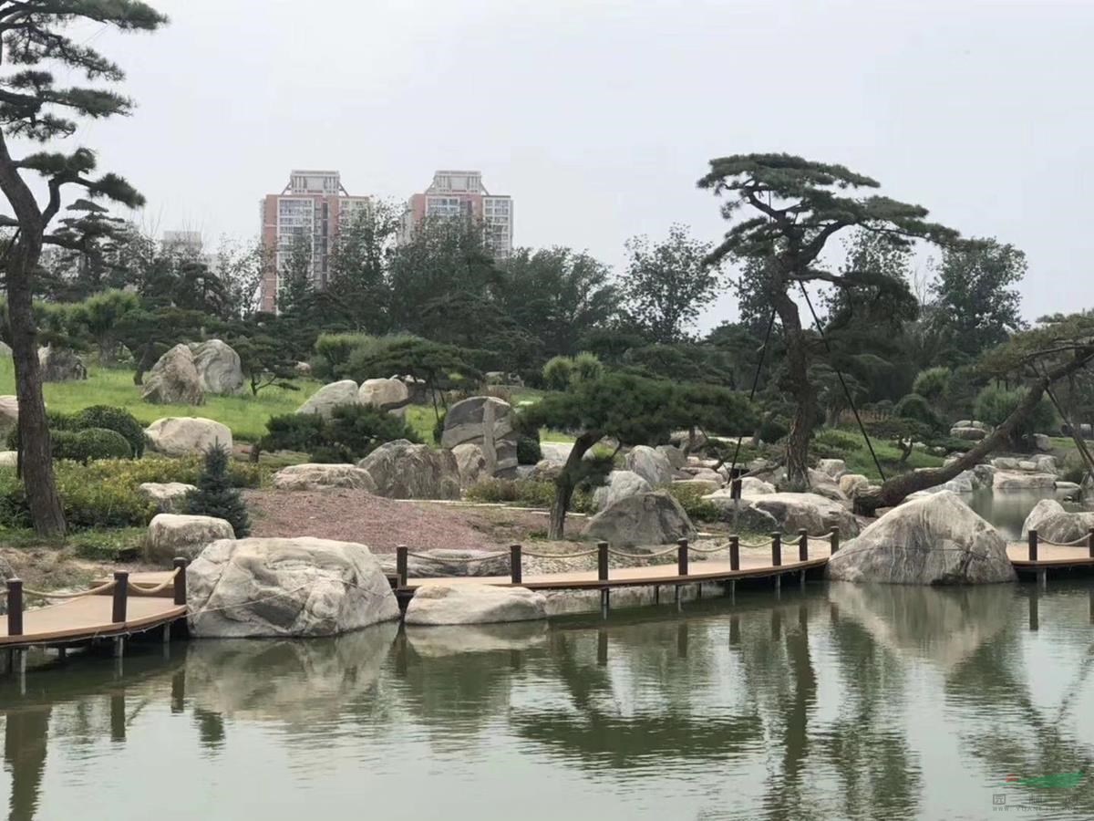 泰山石 點(diǎn)綴造景石 風(fēng)景石 日式枯山水
