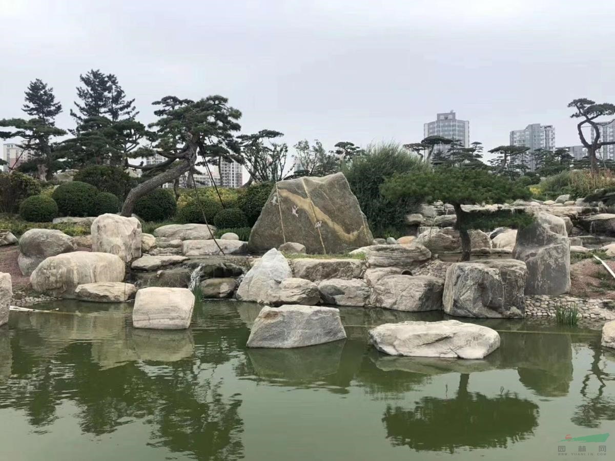 泰山石 點(diǎn)綴造景石 風(fēng)景石 日式枯山水