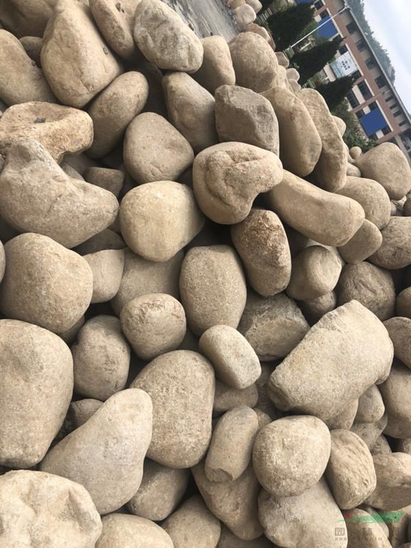 天然水沖石 大型卵石置石風(fēng)景石 鵝卵石