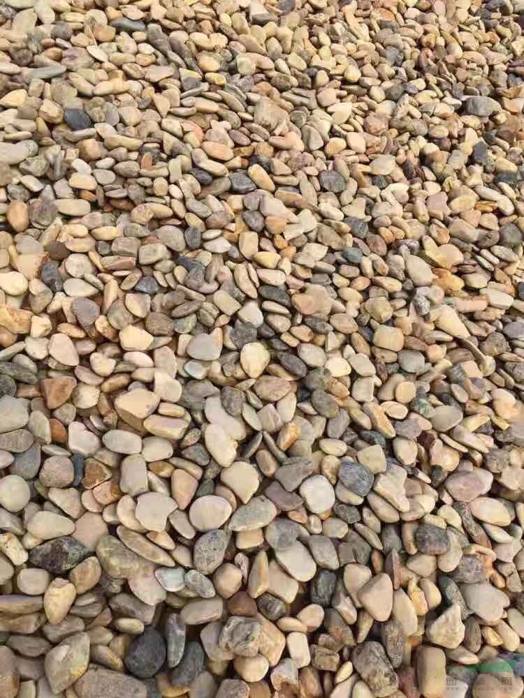 天然鵝卵石 鋪路石 卵石 變壓器專用石 過濾凈水