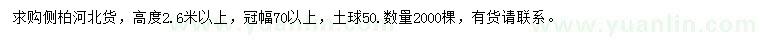求購冠幅70公分以上側柏