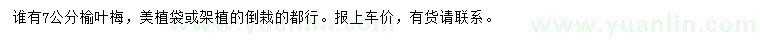 求購(gòu)7公分榆葉梅