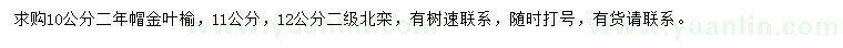 求購(gòu)10公分金葉榆、11、12公分北欒
