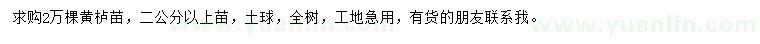 求購(gòu)2公分以上黃櫨