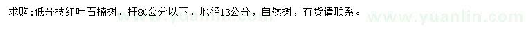 求購(gòu)地徑13公分紅葉石楠
