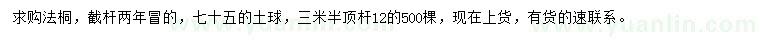 求購法桐