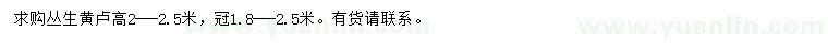 求購冠幅1.8-2.5米叢生黃盧