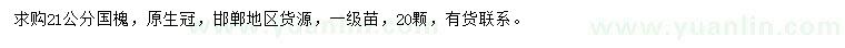 求購21公分國槐
