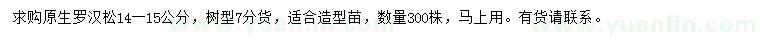 求購(gòu)14-15公分羅漢松
