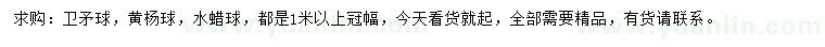 求購衛(wèi)矛球、黃楊球、水蠟球