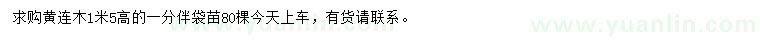 求購高1.5米黃連木