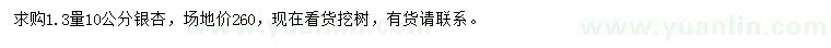 求購1.3米量10公分銀杏