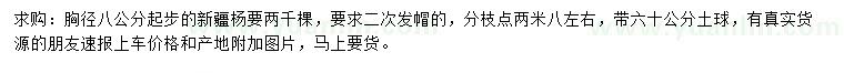 求購胸徑8公分以上新疆楊