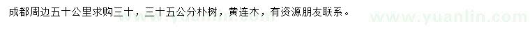 求購30、35公分樸樹、黃連木