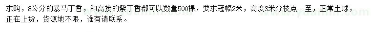 求購(gòu)8公分暴馬丁香、紫丁香
