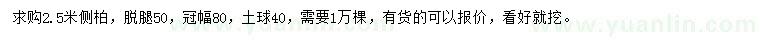 求購冠幅80公分側(cè)柏