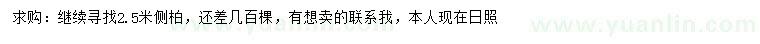 求購2.5米側(cè)柏