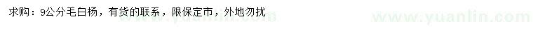 求購9公分毛白楊