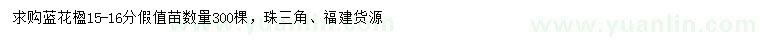 求購15-16公分藍(lán)花楹