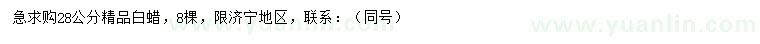求購28公分白蠟