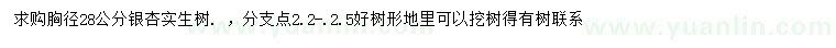求購胸徑28公分銀杏