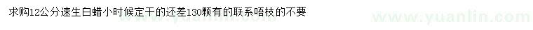 求購12公分速生白蠟