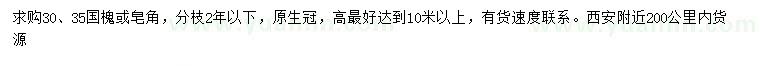 求購30、35公分國槐、皂角