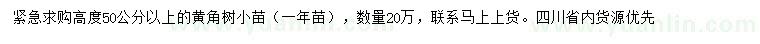求購(gòu)高50公分以上黃角樹(shù)