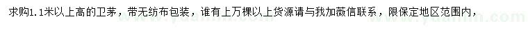 求購高1.1米以上衛(wèi)矛