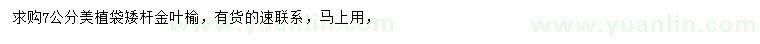 求購7公分矮桿金葉榆