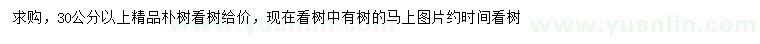 求購30公分以上樸樹