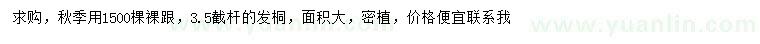 求購法桐