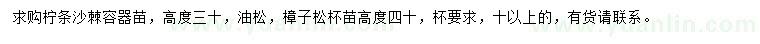 求購檸條、沙棘、油松等