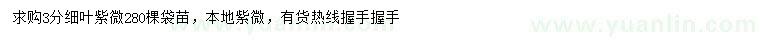 求購3公分細葉紫薇
