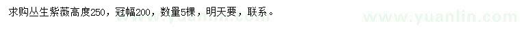 求購高250公分叢生紫薇
