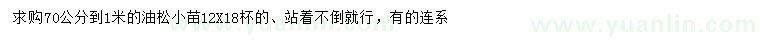 求購70公分-1米油松小苗