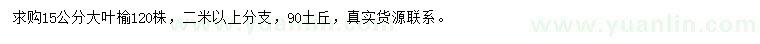 求購(gòu)15公分大葉榆