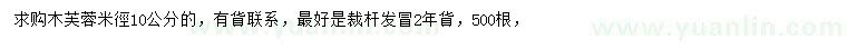 求購米徑10公分木芙蓉