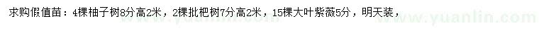 求購柚子樹、枇杷樹、大葉紫薇