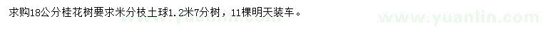 求購18公分桂花樹